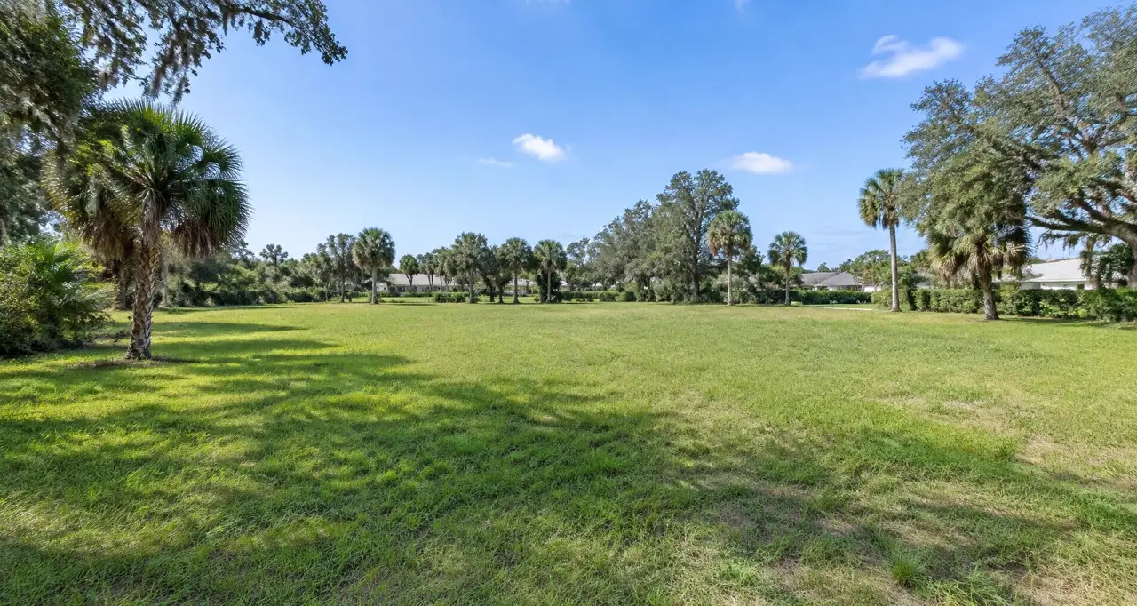 Undeveloped Florida lot with grass and palms